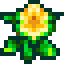 primavera